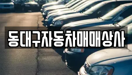 대구광역시 동구 입석동 중고차 전문 동대구자동차매매상사