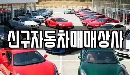 부산 북구 금곡동 중고차매매 전문 신구자동차매매상사