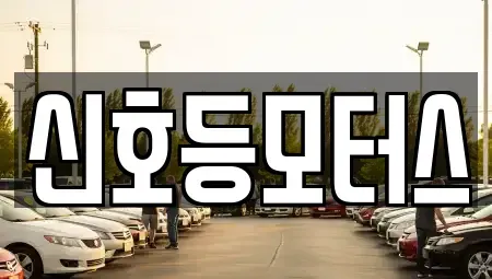 부산 북구 금곡동 중고차매매 전문 신호등모터스