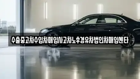 부산 북구 금곡동 중고차매입 전문 수출중고차수입차매입사고차노후경유차법인차매입센타