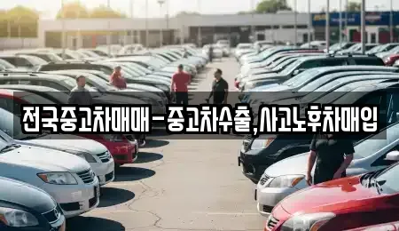부산 북구 금곡동 중고차매입 전문 전국중고차매매-중고차수출,사고노후차매입