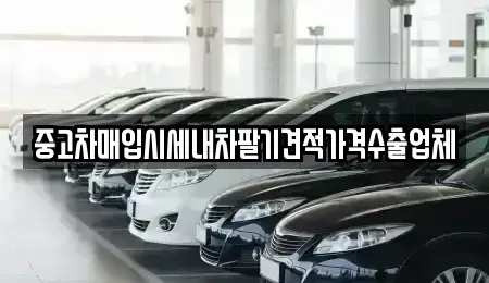 부산 북구 금곡동 단기렌트카,중고차매입,중고차매매,중고차,렌트카,장기렌트카