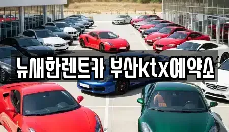 부산광역시 동구 초량동 장기렌트카 전문 뉴새한렌트카 부산ktx예약소