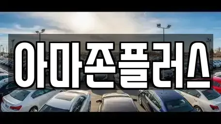 부산광역시 동구 초량동 장기렌트카 전문 아마존플러스