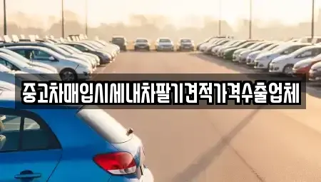 부산광역시 동구 초량동 중고차매입 전문 중고차매입시세내차팔기견적가격수출업체