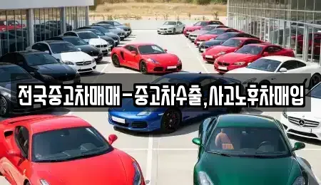 부산광역시 중구 중앙동7가 중고차 전문 전국중고차매매-중고차수출,사고노후차매입