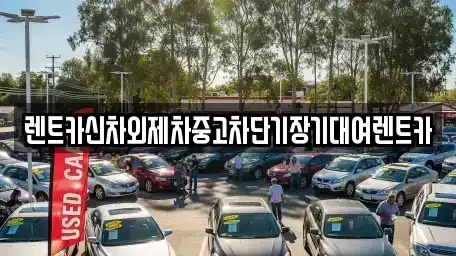 서울 동대문구 신설동 장기렌트카 전문 렌트카신차외제차중고차단기장기대여렌트카