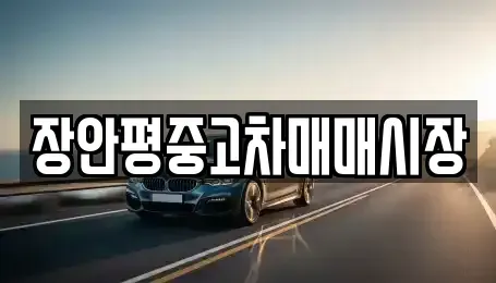 서울 동대문구 신설동 중고차 전문 장안평중고차매매시장