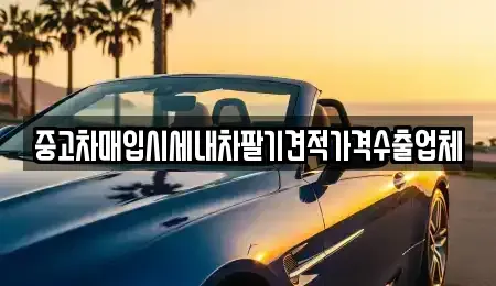 서울 동대문구 신설동 중고차 전문 중고차매입시세내차팔기견적가격수출업체