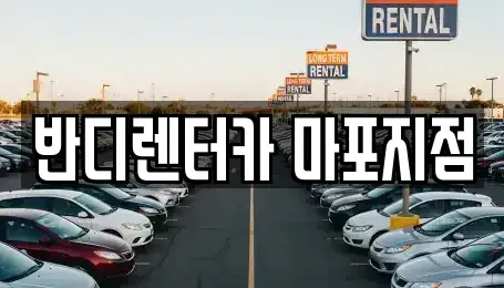 서울특별시 마포구 동교동 단기렌트카,중고차매입,중고차매매,중고차,렌트카,장기렌트카