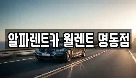 서울특별시 종로구 종로3가 렌트카 전문 알파렌트카 월렌트 명동점
