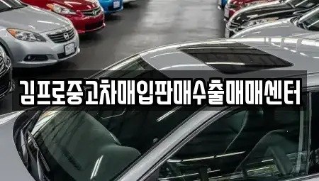 서울특별시 종로구 종로3가 중고차매입 전문 김프로중고차매입판매수출매매센터