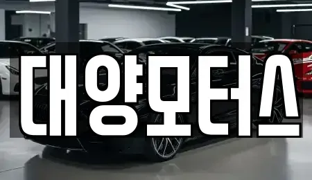 전남 여수시 고소동 중고차매매 전문 대양모터스