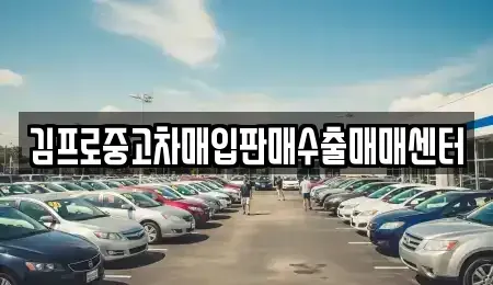 전남 여수시 고소동 중고차매입 전문 김프로중고차매입판매수출매매센터