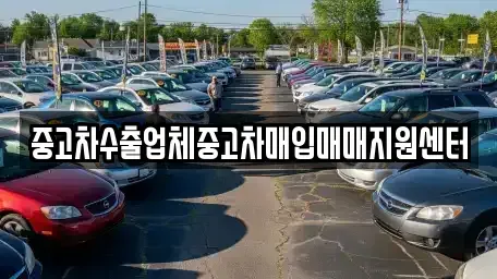 전라남도 나주시 경현동 중고차매매 전문 중고차수출업체중고차매입매매지원센터