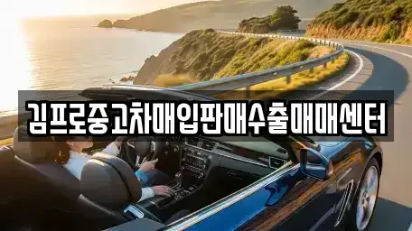제주 제주시 아라일동 중고차 전문 김프로중고차매입판매수출매매센터